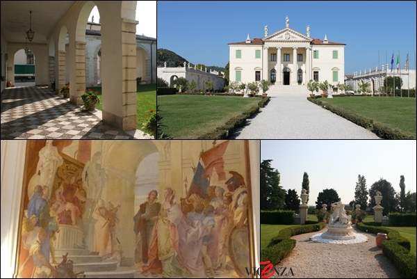 cordellina.jpg